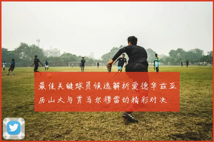 最佳关键球员候选解析爱德华兹亚历山大与贾马尔穆雷的精彩对决