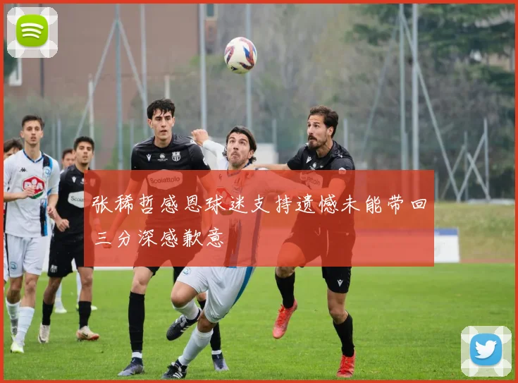 张稀哲感恩球迷支持遗憾未能带回三分深感歉意