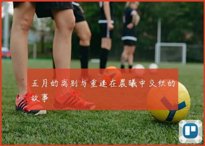 五月的离别与重逢在晨曦中交织的故事
